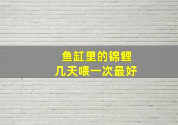 鱼缸里的锦鲤几天喂一次最好