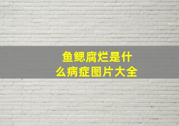 鱼鳃腐烂是什么病症图片大全