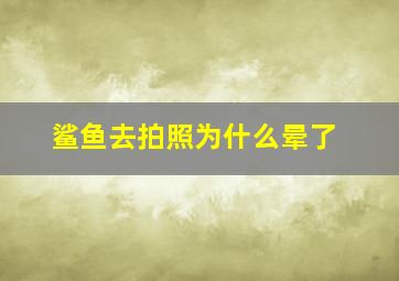 鲨鱼去拍照为什么晕了