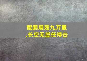 鲲鹏展翅九万里,长空无崖任搏击