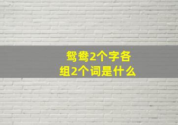 鸳鸯2个字各组2个词是什么