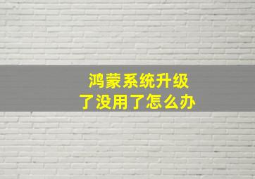 鸿蒙系统升级了没用了怎么办