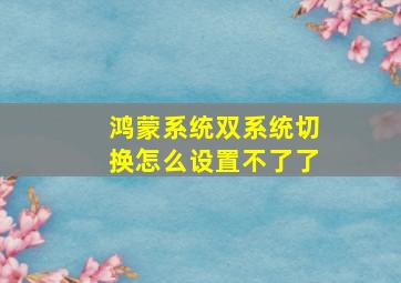 鸿蒙系统双系统切换怎么设置不了了