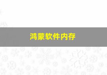 鸿蒙软件内存