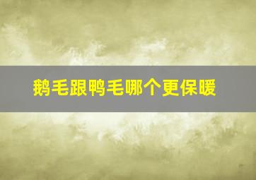 鹅毛跟鸭毛哪个更保暖