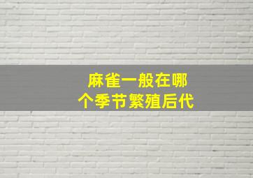 麻雀一般在哪个季节繁殖后代