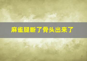 麻雀腿断了骨头出来了