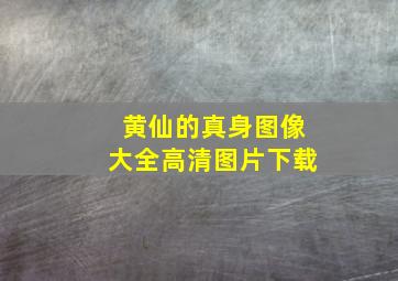 黄仙的真身图像大全高清图片下载