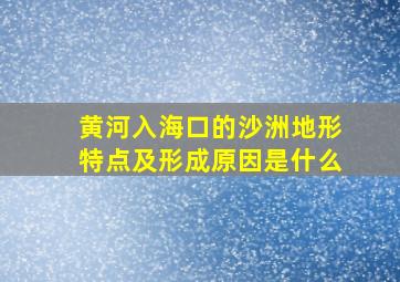 黄河入海口的沙洲地形特点及形成原因是什么