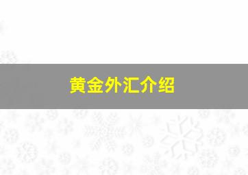 黄金外汇介绍