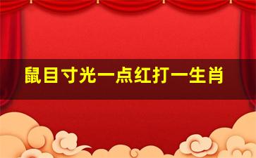 鼠目寸光一点红打一生肖