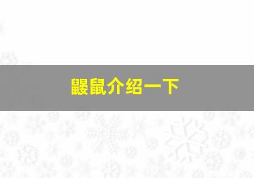 鼹鼠介绍一下