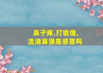 鼻子痒,打喷嚏,流清鼻涕是感冒吗