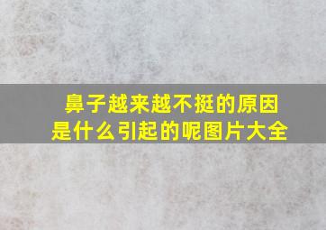 鼻子越来越不挺的原因是什么引起的呢图片大全