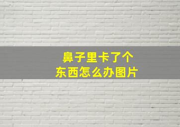 鼻子里卡了个东西怎么办图片