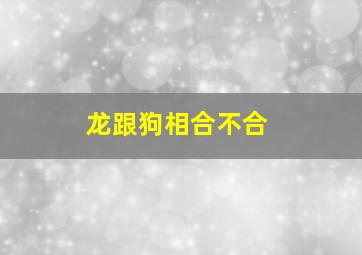 龙跟狗相合不合